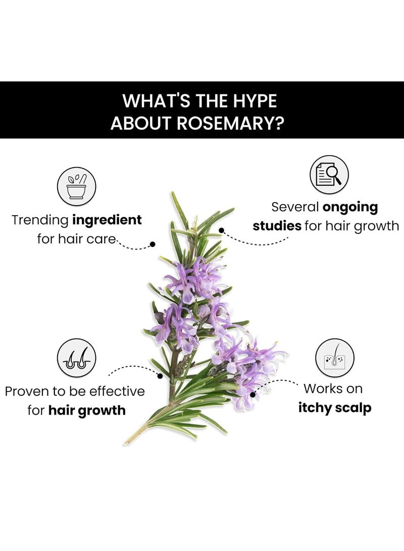 ThriveCo Rosemary Essential Oil For Hair Growth & Hair Fall Control Reduces Hair Breakage Pure Certified Organic and Natural With Vitamin E For Men and Women 15ml - Image 5