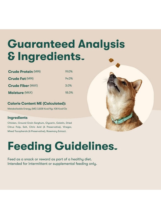 جينكس Jinx Chicken Bites، مكافآت الكلاب من لحم البقر المقدد الناعم، دجاج حقيقي مدخن ببطء، قليل السعرات الحرارية ومليء بالنكهة، بدون مواد مالئة، وجبة خفيفة بحجم اللقمة، 5 أونصة - Image 5