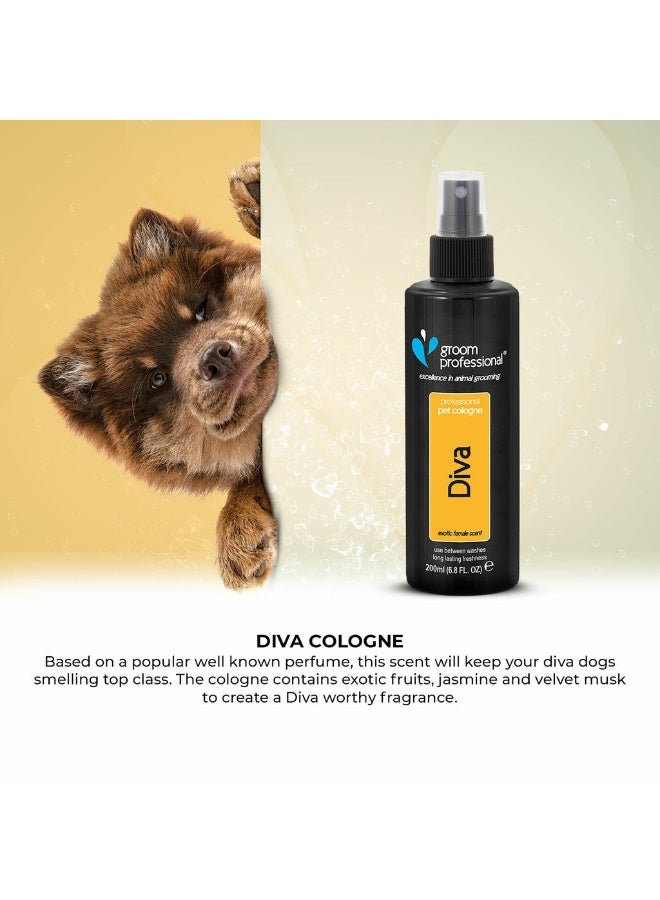 Groom Professional Diva Cologne (Perfume)[Volume - 200 ml, Flavor - Exotic Female Scent] - Image 3