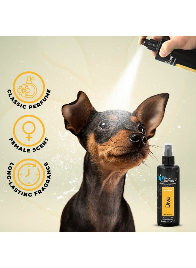 Groom Professional Diva Cologne (Perfume)[Volume - 200 ml, Flavor - Exotic Female Scent] - Image 5