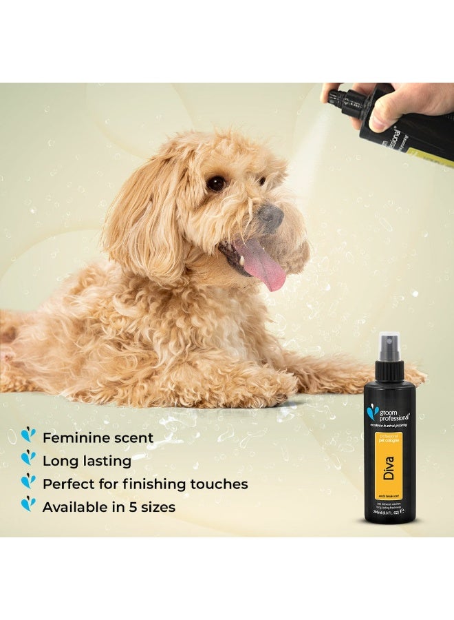 Groom Professional Diva Cologne (Perfume)[Volume - 200 ml, Flavor - Exotic Female Scent] - Image 4