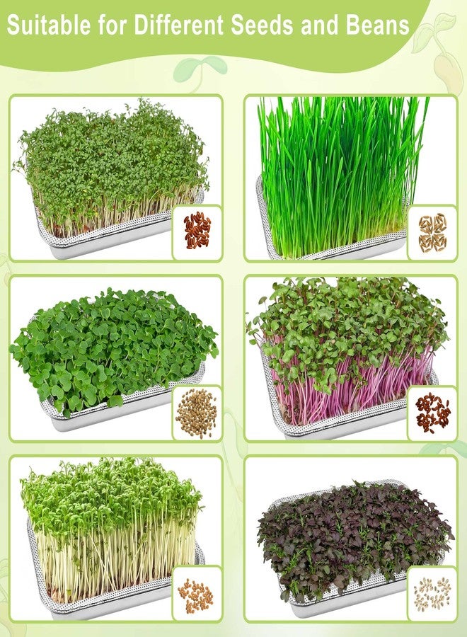 TCYPUHL Stainless Steel Sprouts Growing Kit Trays 4-Tier 14 inch, Microgreens Growing Kit, Seed Sprouting Tray with Encrypted Mesh Sprouts for Beans Alfalfa Broccoli Seeds Wheat Grass - Image 5