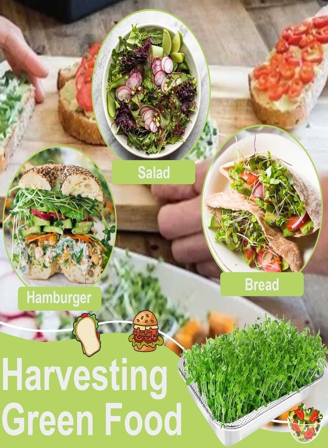 TCYPUHL Stainless Steel Sprouts Growing Kit Trays 4-Tier 14 inch, Microgreens Growing Kit, Seed Sprouting Tray with Encrypted Mesh Sprouts for Beans Alfalfa Broccoli Seeds Wheat Grass - Image 4