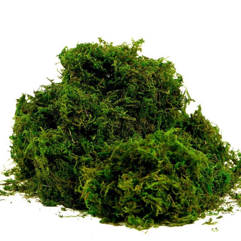 BYHER Artificial Moss Fake Green Grass for Centerpieces Home Kitchen Garden Decor (8OZ, Fresh) - Image 1
