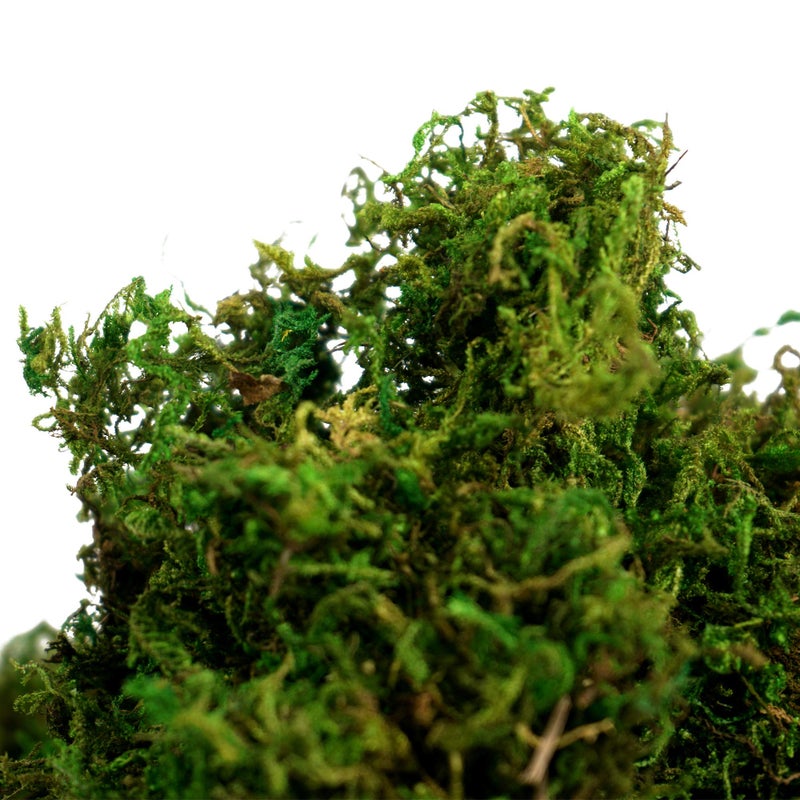 BYHER Artificial Moss Fake Green Grass for Centerpieces Home Kitchen Garden Decor (8OZ, Fresh) - Image 3