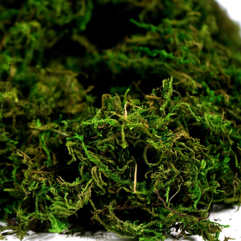 BYHER Artificial Moss Fake Green Grass for Centerpieces Home Kitchen Garden Decor (8OZ, Fresh) - Image 2