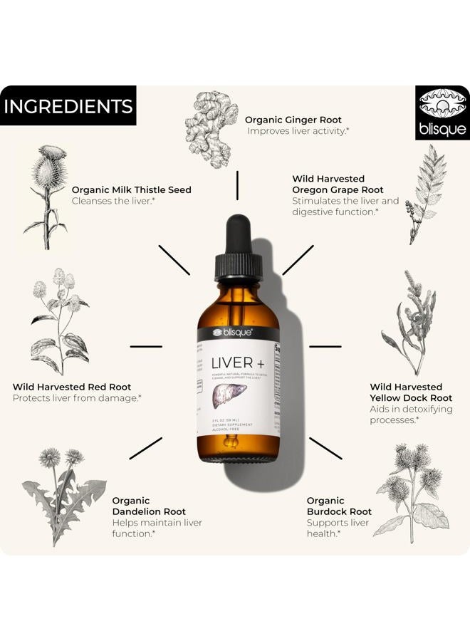 Blisque – Liver Complex Supplement to Detox, Cleanse, and Repair The Liver | Doctor-Approved | Natural Ingredients | Milk Thistle and Dandelion Root | 2 Ounce | 59 Servings - Image 4