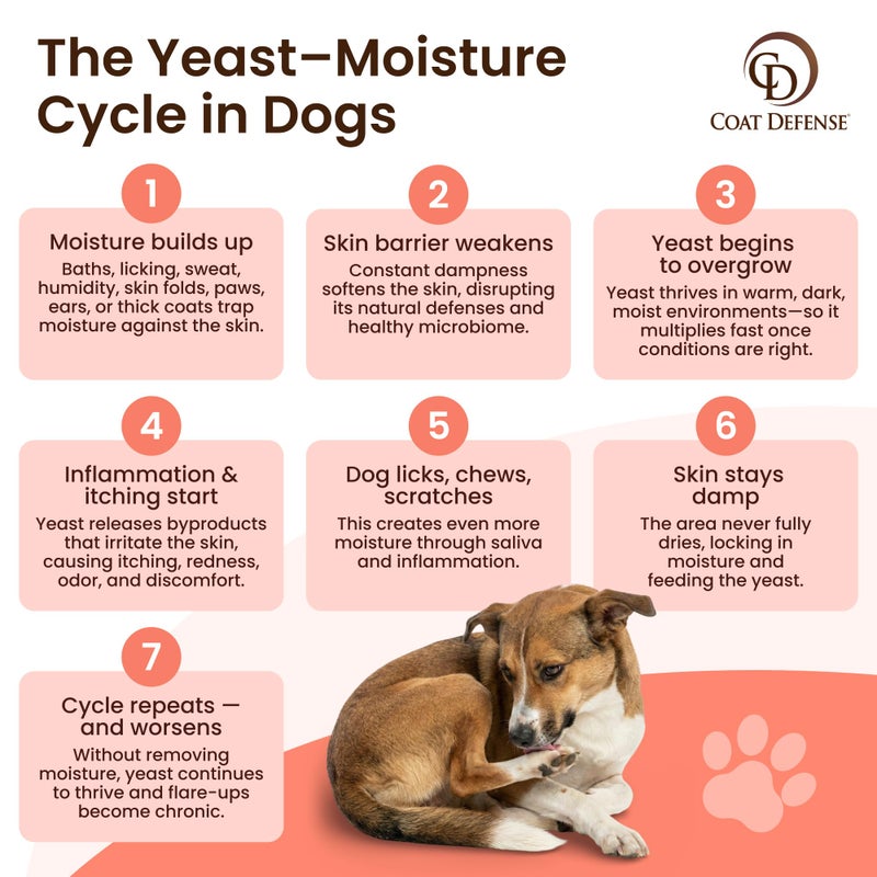 Coat Defense Paw Licker Bundle | Coat Defense Powder & Shampoo for Allergies and Itching | Yeast Infection Treatment for Dogs | Dog Shampoo Itchy Skin Relief | Dry Shampoo & Yeast Powder for Dogs - Image 3