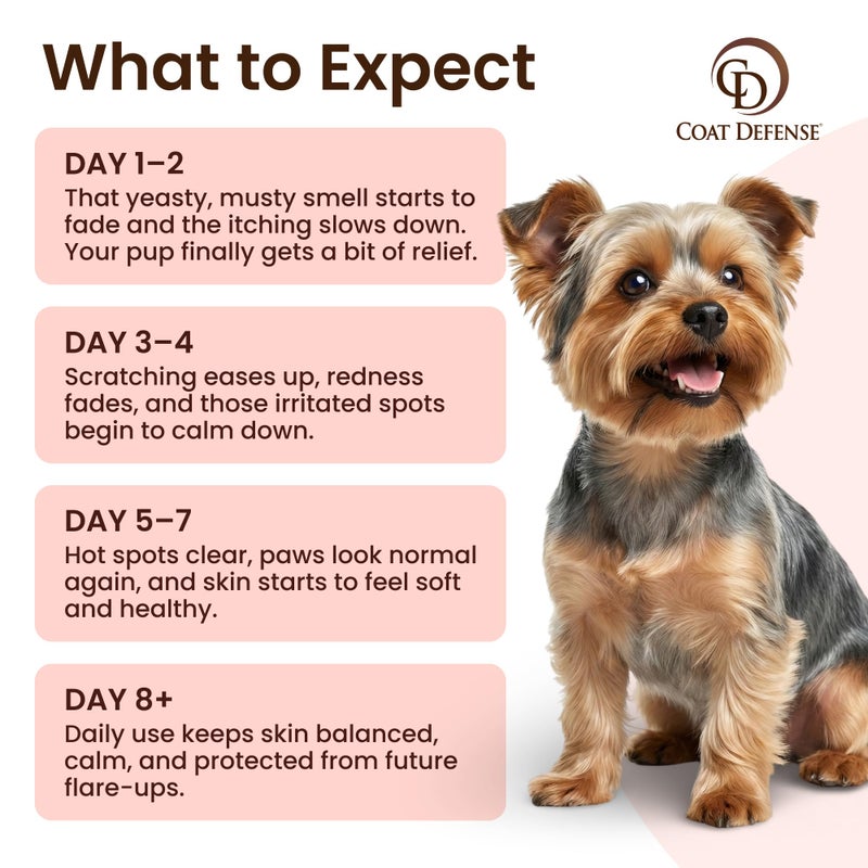 Coat Defense Paw Licker Bundle | Coat Defense Powder & Shampoo for Allergies and Itching | Yeast Infection Treatment for Dogs | Dog Shampoo Itchy Skin Relief | Dry Shampoo & Yeast Powder for Dogs - Image 5