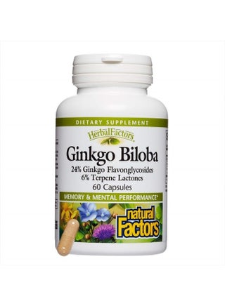 HerbalFactors by Natural Factors, Ginkgo Biloba, Supports Memory, Mental Performance and Healthy Brain Function, 60 capsules (60 servings) - pzsku/Z8B1D010C8694EEBDB051Z/45/_/1681535551/1e8f8481-d3fa-4ec8-bc54-6841a67c6ba3
