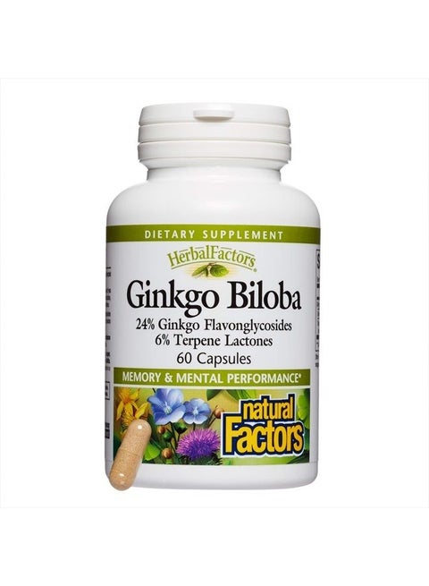 HerbalFactors by Natural Factors, Ginkgo Biloba, Supports Memory, Mental Performance and Healthy Brain Function, 60 capsules (60 servings)
