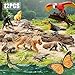 THINKBAY 12PCS Realistic Rainforest Animal Figurines Toys Rainforest Diorama Supplies Party Favor Jungle Animals Figures Toys Learning Toys for Toddlers Boys Girls Valentines Day Gifts for Kids - Image 4