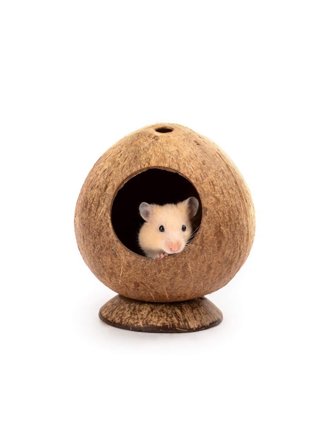 يُسلِّم كوخ جوز الهند، سرير للهامستر، مناسب للجرذان والفئران، مستلزمات تعشيش الهامستر، ديكور قفص الحيوانات الصغيرة - Image 1