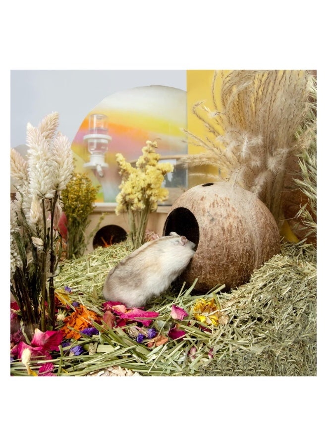 يُسلِّم كوخ جوز الهند، سرير للهامستر، مناسب للجرذان والفئران، مستلزمات تعشيش الهامستر، ديكور قفص الحيوانات الصغيرة - Image 4