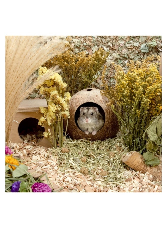 يُسلِّم كوخ جوز الهند، سرير للهامستر، مناسب للجرذان والفئران، مستلزمات تعشيش الهامستر، ديكور قفص الحيوانات الصغيرة - Image 5