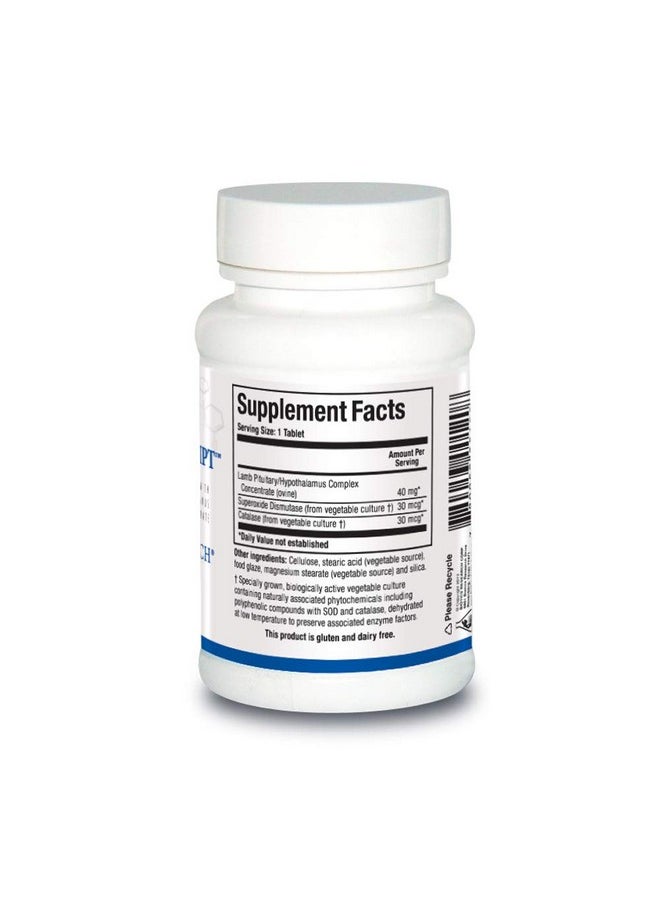 BIOTICS - Research Cytozyme Pt Hpt Lamb PituitaryHypothalamus Complex Supports Function Of The Pituitary Gland And Hypothalamus Adrenal Health Brain Boost 60 Tabs - Image 1