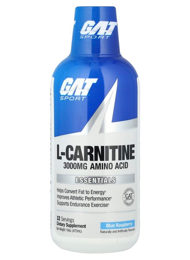 GAT Sport LCarnitine Blue Raspberry 16 oz (473 ml)