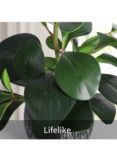 Garlo Artificial Potted Plants, Real Looking Fiddle Leaf Fake Plant with Pot, Plastic Watercress Leaves Small Faux Trees with Cement Planter, Greenery Plant Table Decor for Home Indoor  - Image 3