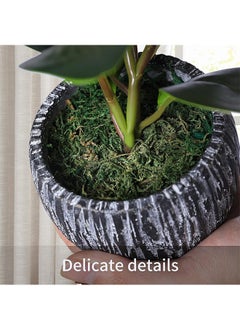 Garlo Artificial Potted Plants, Real Looking Fiddle Leaf Fake Plant with Pot, Plastic Watercress Leaves Small Faux Trees with Cement Planter, Greenery Plant Table Decor for Home Indoor  - Image 5