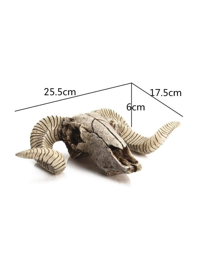 MBVBN Skull Sheep Head Wall Sculpture,Resin Ram Skull Wall Decorations,Ram Sheep Skull Decor Animal Skull Skeleton Head Sculpture Wall Hanging Art Collectible Decor (A) - Image 3