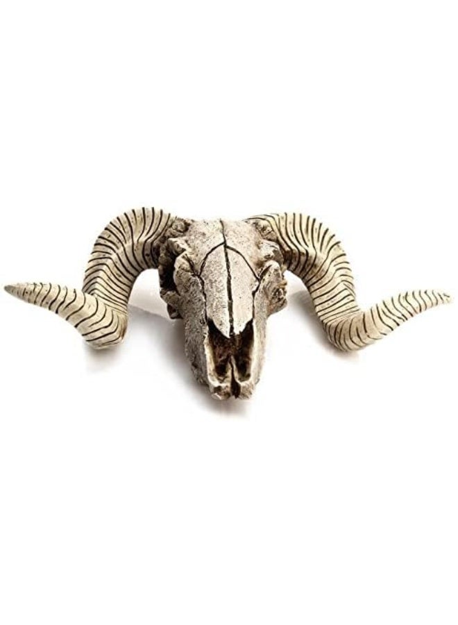 MBVBN Skull Sheep Head Wall Sculpture,Resin Ram Skull Wall Decorations,Ram Sheep Skull Decor Animal Skull Skeleton Head Sculpture Wall Hanging Art Collectible Decor (A) - Image 4