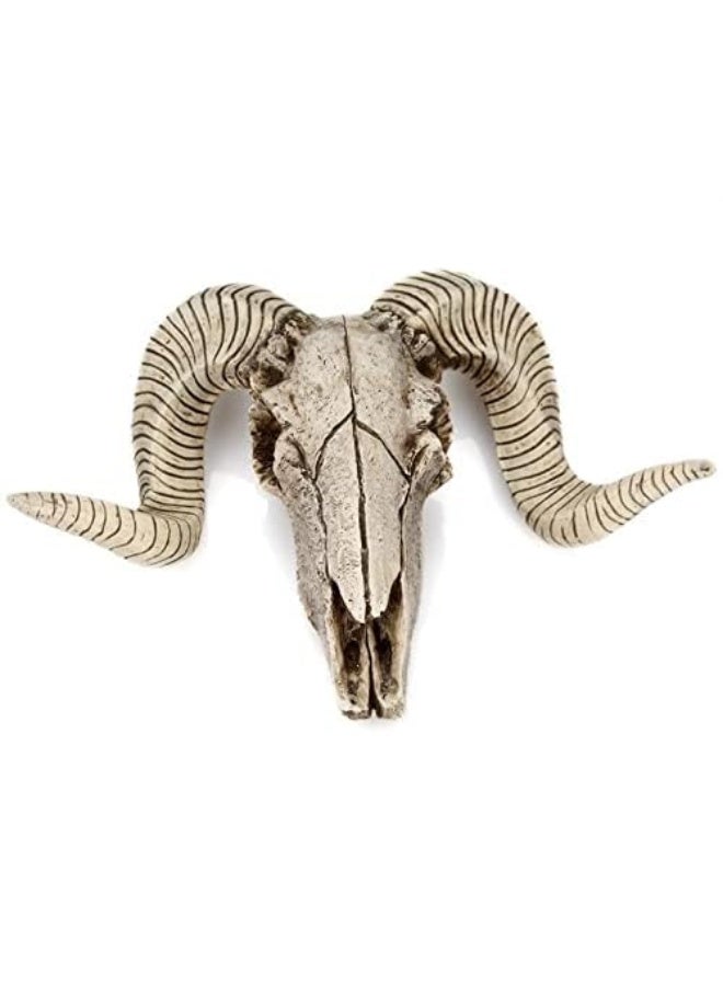 MBVBN Skull Sheep Head Wall Sculpture,Resin Ram Skull Wall Decorations,Ram Sheep Skull Decor Animal Skull Skeleton Head Sculpture Wall Hanging Art Collectible Decor (A) - Image 2