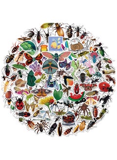 Insect