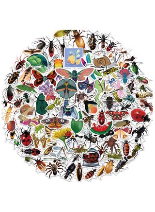 Insect
