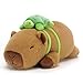 SQEQE Weighted Stuffed Animals Capybara with Turtle Backpack Weighted Capybara Plush Cute Plushies Pillow Toy for Bed Time Christmas Valentines Gift 236 Inch 38 Lbs - Image 2