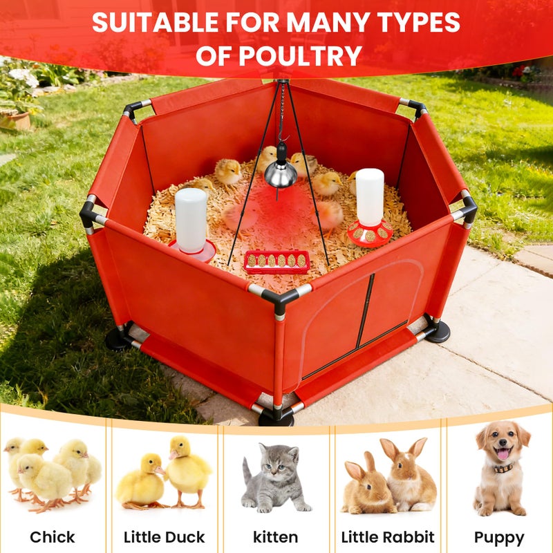 Kweetle Chicks Brooder Box for Chicken Starter Kitâ€“Includes Heat Lamp, Chick Feeder and Waterer Set, Perch & Sawdust for Up to 30 Baby Chicks, Ducklings & Quailâ€“Complete Poultry Brooder Set - Image 2