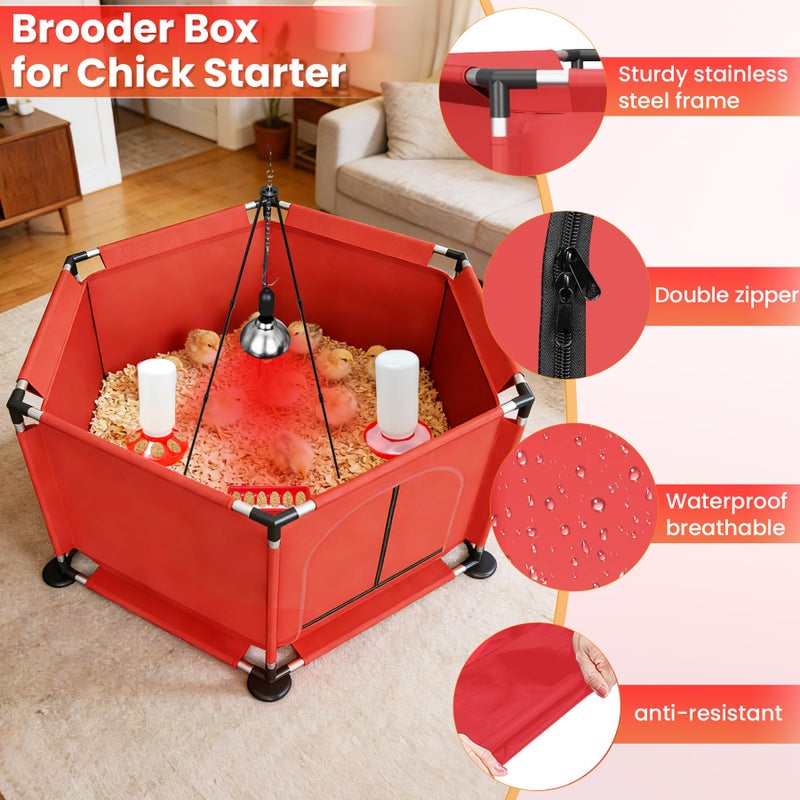 Kweetle Chicks Brooder Box for Chicken Starter Kitâ€“Includes Heat Lamp, Chick Feeder and Waterer Set, Perch & Sawdust for Up to 30 Baby Chicks, Ducklings & Quailâ€“Complete Poultry Brooder Set - Image 4