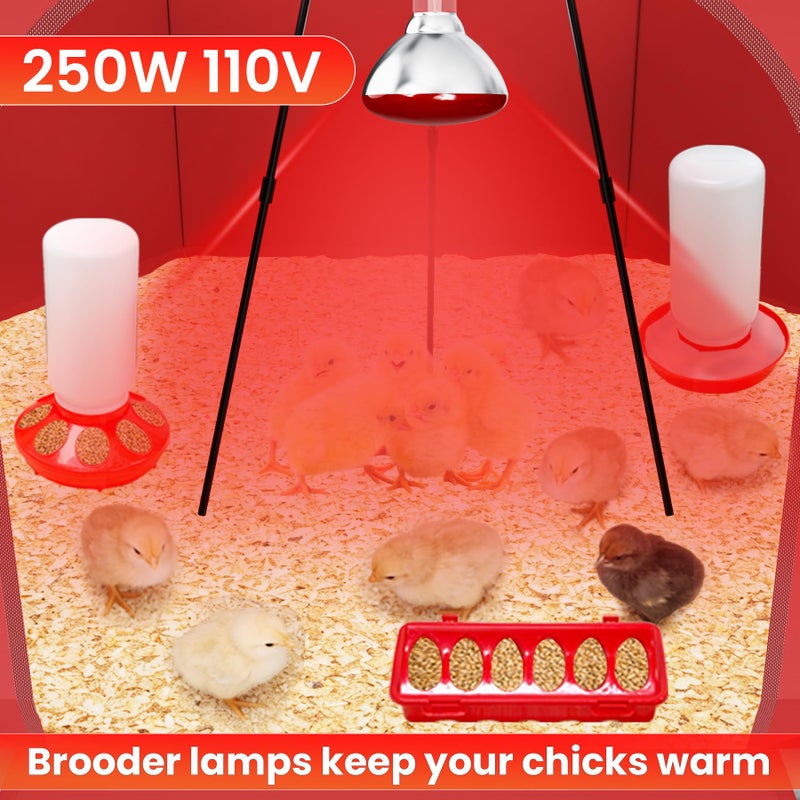 Kweetle Chicks Brooder Box for Chicken Starter Kitâ€“Includes Heat Lamp, Chick Feeder and Waterer Set, Perch & Sawdust for Up to 30 Baby Chicks, Ducklings & Quailâ€“Complete Poultry Brooder Set - Image 3