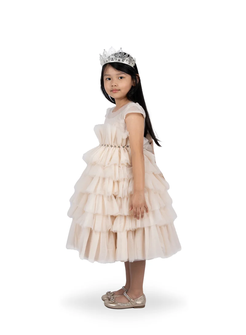 D'Daniela Tiered Tulle Dress