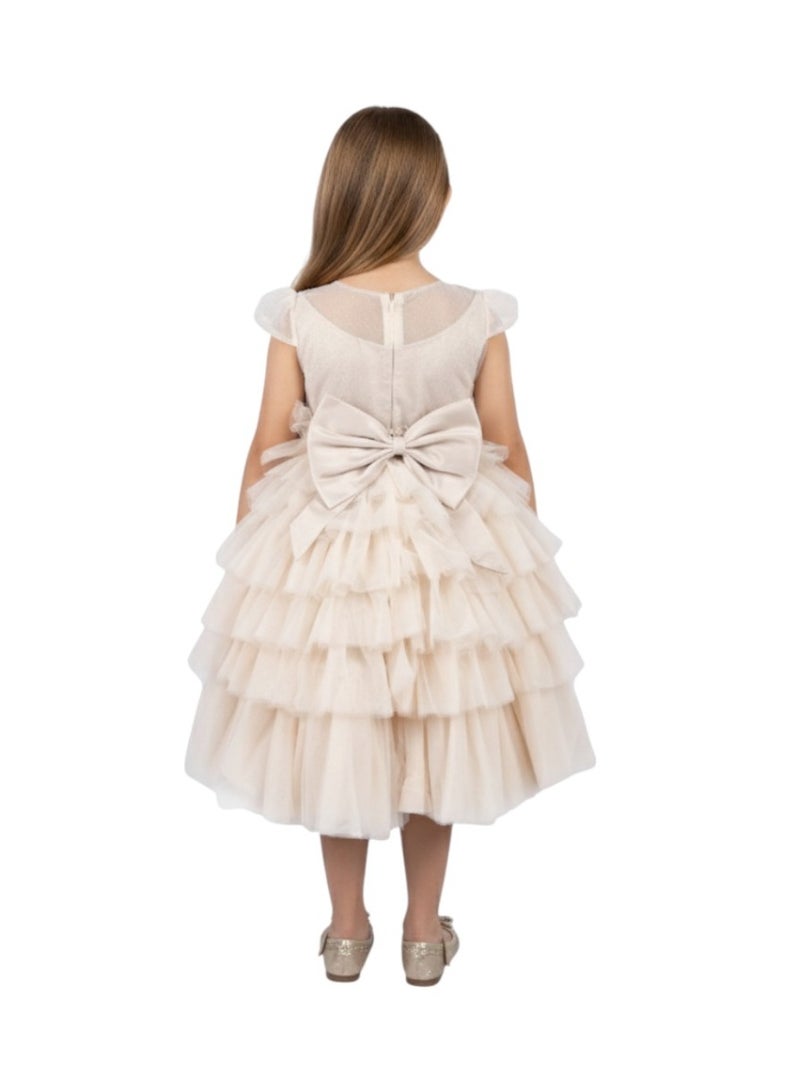 D'Daniela Tiered Tulle Dress - Image 4