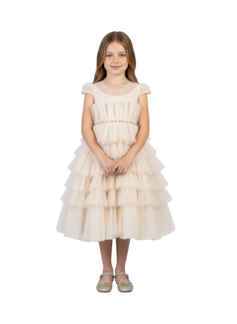 D'Daniela Tiered Tulle Dress - Image 1