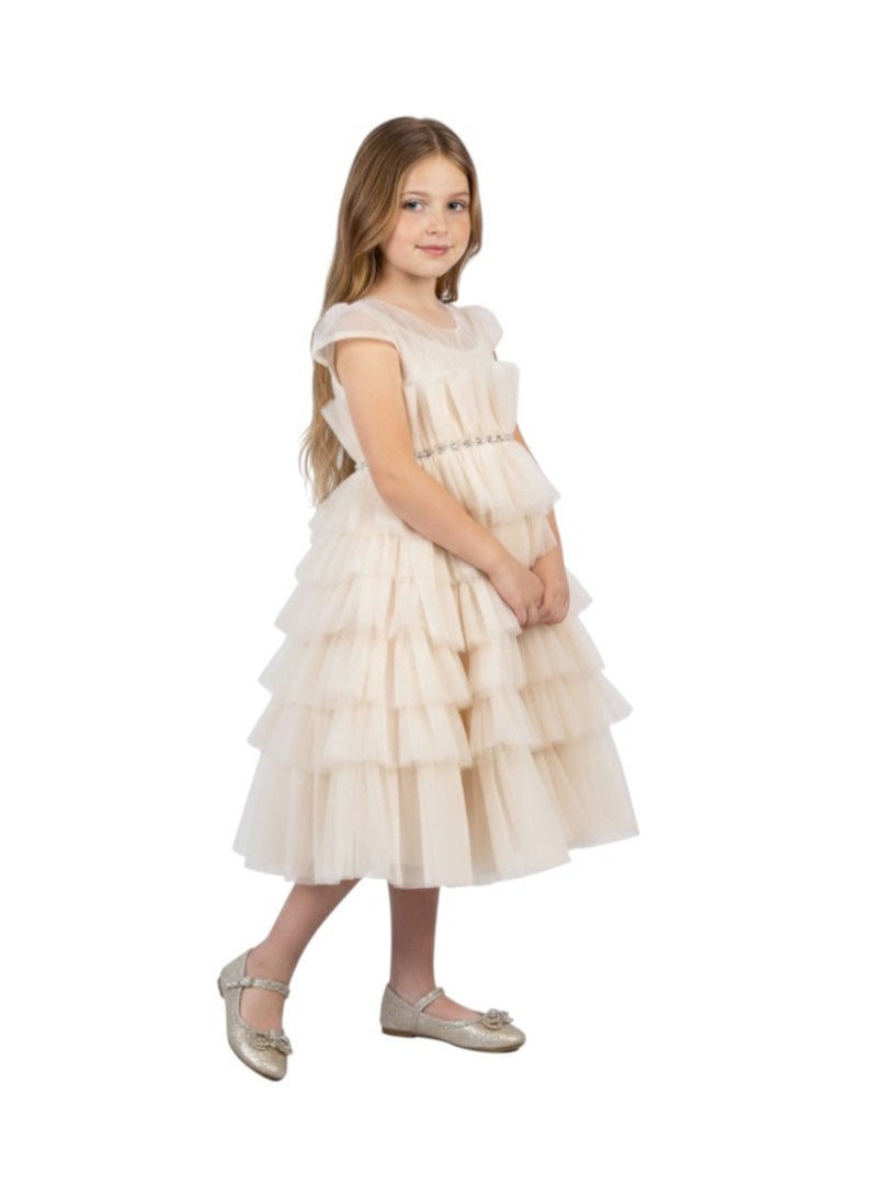 D'Daniela Tiered Tulle Dress - Image 3