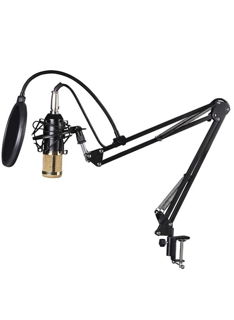 ELTRAZONE - Elite V9 Sound Card & BM800 Pro Microphone Bundle for Advanced Broadcasting - Image 1