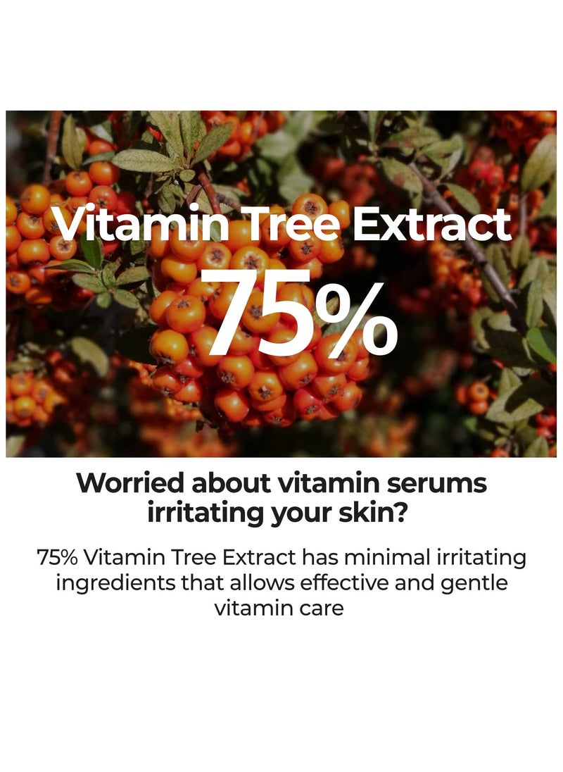 numbuzin numbuzin No.5 Goodbye Blemish Serum | Blemish Serum for Dark Spots, Acne Scars with Vitamin C, Niacinamide, Antioxidant | Lightweight Gel, Korean Skin Care for Face | 1.69 Fl Oz  - Image 3