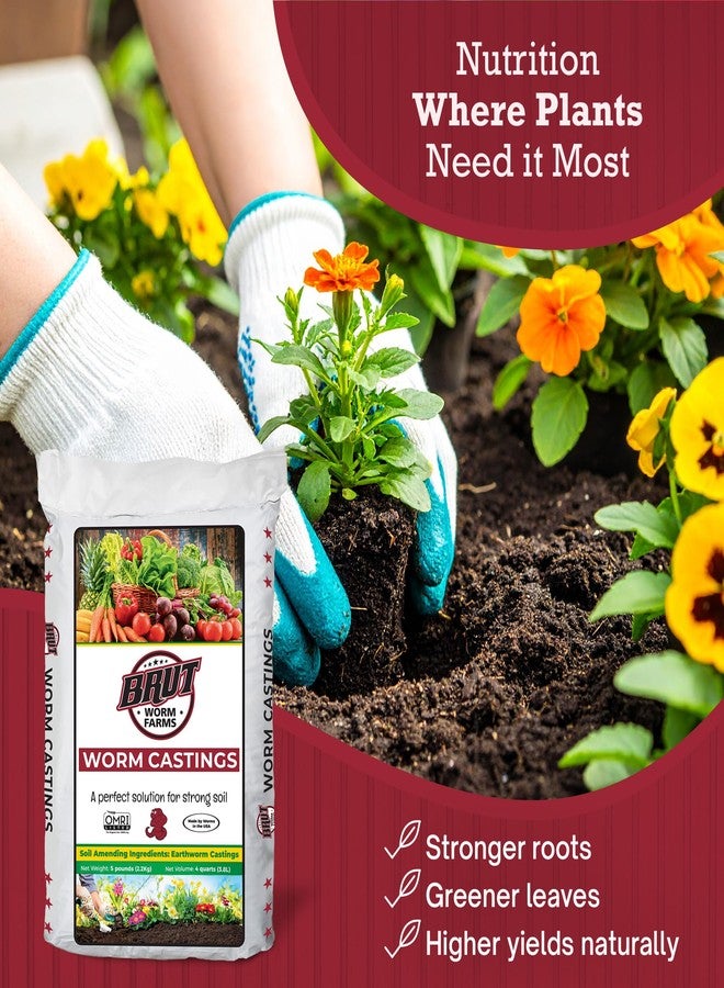 BRUT WORM FARMS Worm Castings Soil Builder - 5 Pounds - Organic Fertilizer - Natural Enricher for Healthy Houseplants, Flowers, and Vegetables - Use Indoors or Outdoors - Non-Toxic and Odor Free - Image 4