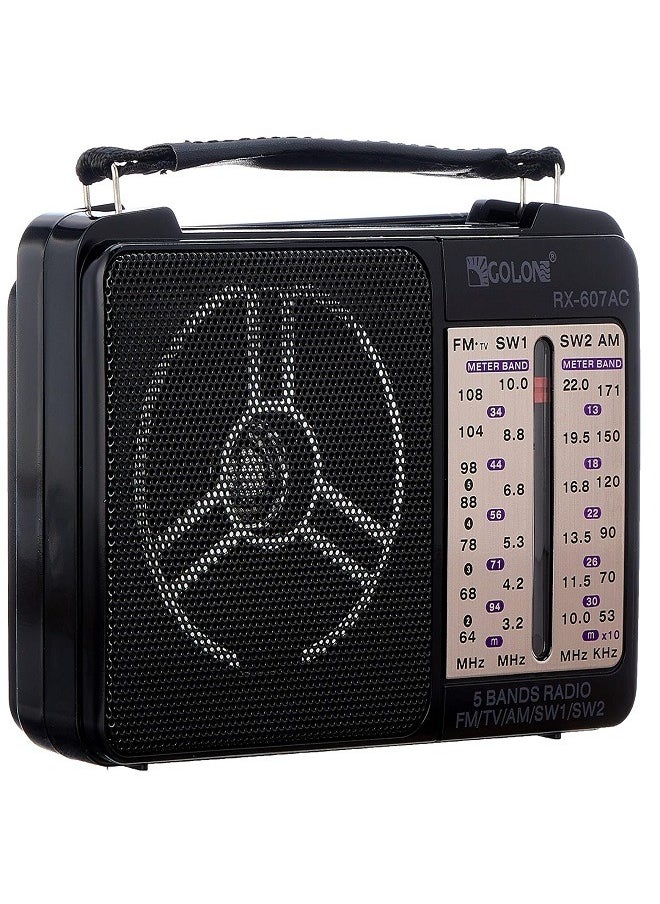Golon - Radio Classic RX-607AC - Image 1