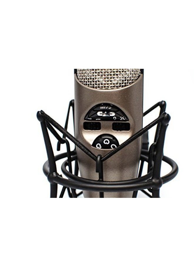 CAD AUDIO M179 Large Diaphragm Infinitely Adjustable Polar Pattern Condenser Microphone  - Image 3