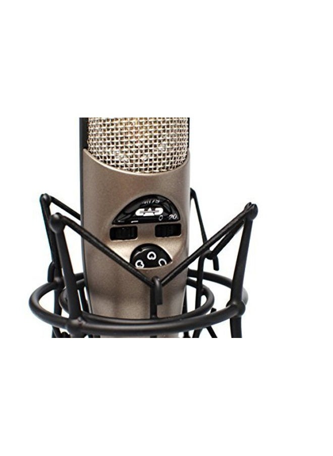 M179 Large Diaphragm Infinitely Adjustable Polar Pattern Condenser Microphone