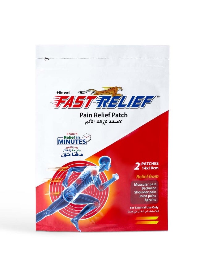 Himani Fast Relief Pain Relief Patch 14cm x 10cm, Pack of 2's