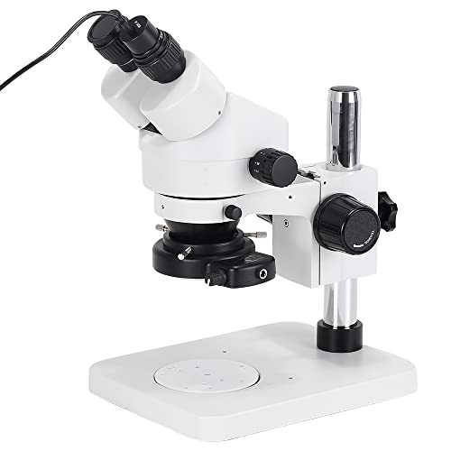 HAYEAR 5MP USB Digital Microscope Camera USB Digital Eyepeice Lens Tpye C USB Video Camera for Sience Education Lab Reserch with Free Calibration Software - Image 5
