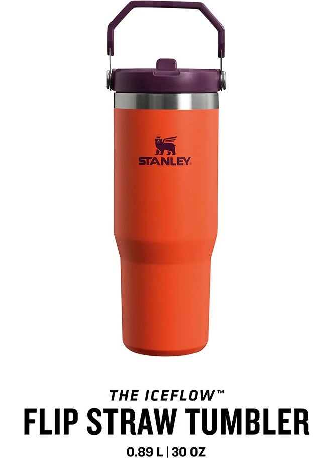 The IceFlow Flip Straw Thermos Cup with Straw 0.89 LT - pzsku/Z8B2CFB3F69BFF1607EBFZ/45/_/1730880828/962ffc2e-9df0-4f81-a59d-a7316b76b898