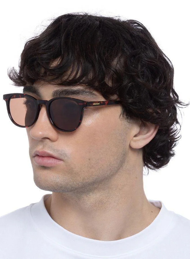 Solarized REFINED ROUND Luxury Sunglasses for Men & Women – High Quality Designer Eyewear, UV Protection, Stylish Frames, Timeless Elegance, and Fashionable Eye Shades