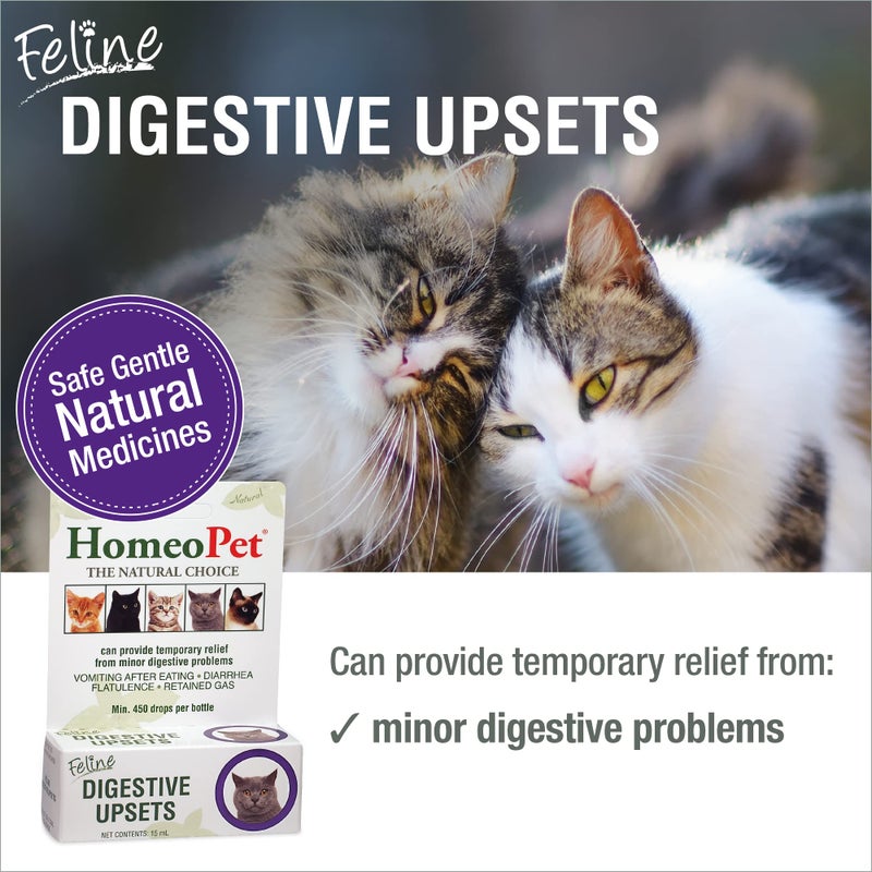 HomeoPet Feline Digestive Upsets, Natural Cat Digestive Support, Digestive Supplement for Cats, 15 Milliliters - Image 2