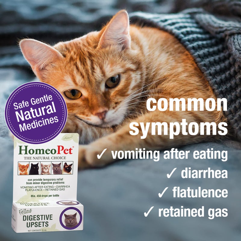 HomeoPet Feline Digestive Upsets, Natural Cat Digestive Support, Digestive Supplement for Cats, 15 Milliliters - Image 3