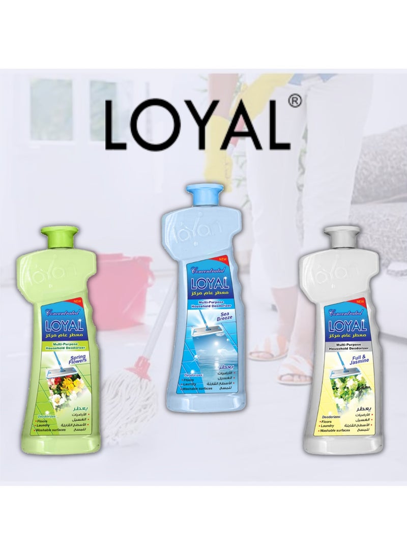 Loyal Concentrated Multi-Purpose Deodorizer with Sea Breeze Scent - 700 ml - Image 5