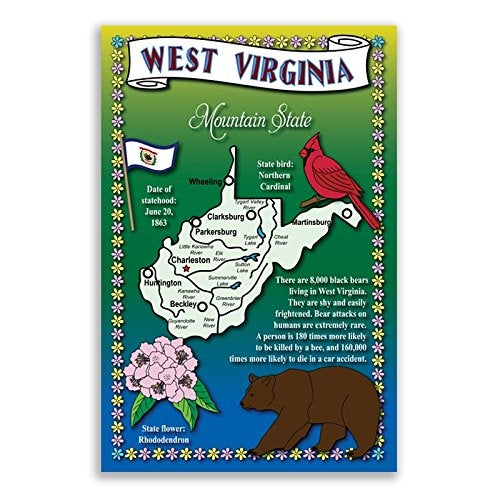Postcard Fair WEST VIRGINIA STATE MAP postcard set of 20 identical postcards. Post cards with WV map and state symbols. Made in USA. - Image 4